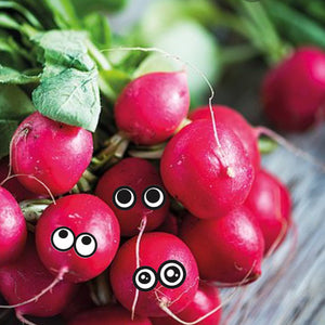 Organic Seeds: Radish Cherry Bell