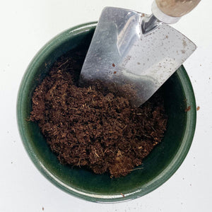 Organic 3L Coir Compost Block *Peat-Free*