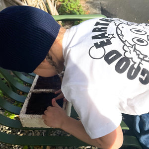 Compostable Mycelium Seed Tray