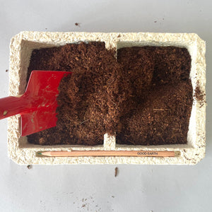 Compostable Mycelium Seed Tray