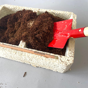 Compostable Mycelium Seed Tray