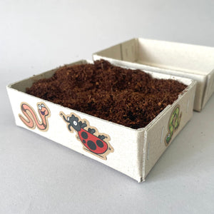 Seasonal Seed Box: Microgreens. All Year Sowing.
