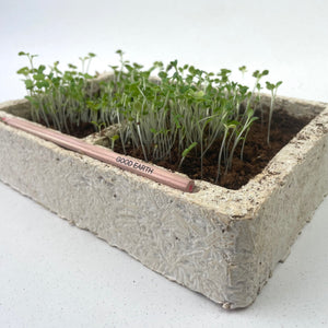 Seasonal Grow Kit: Microgreens. All Year Sowing