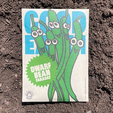 Organic Seeds: Dwarf Bean Faraday
